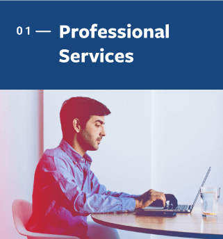 Professional Services