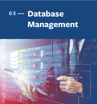 Database Management